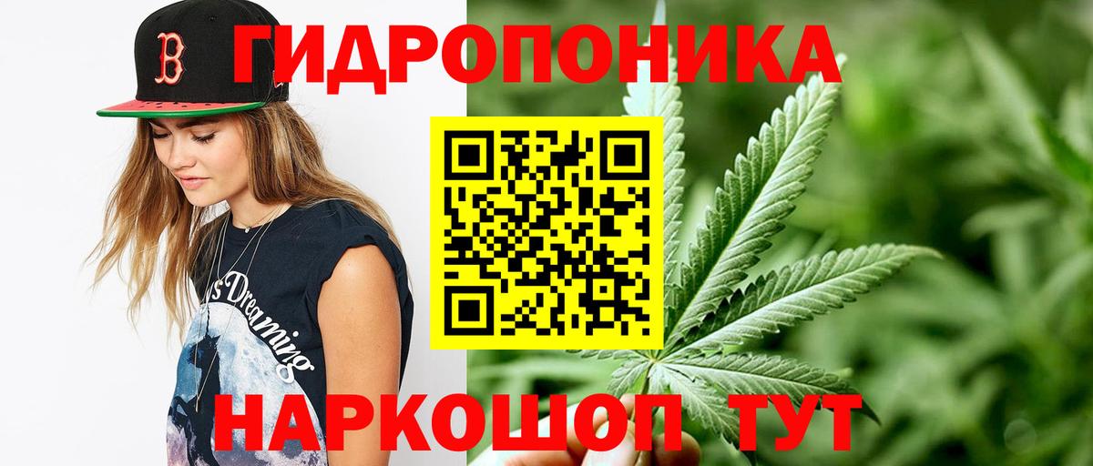 Бошки Шишки Amnesia Когалым
